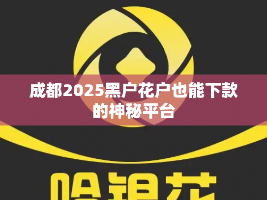 成都2025黑户花户也能下款的神秘平台