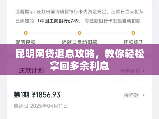 昆明网贷退息攻略，教你轻松拿回多余利息