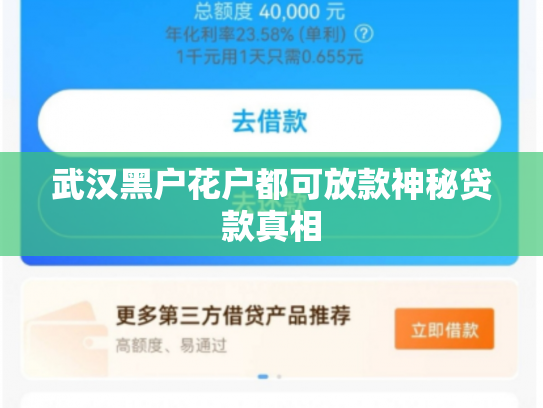 武汉黑户花户都可放款神秘贷款真相