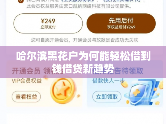 哈尔滨黑花户为何能轻松借到钱借贷新趋势