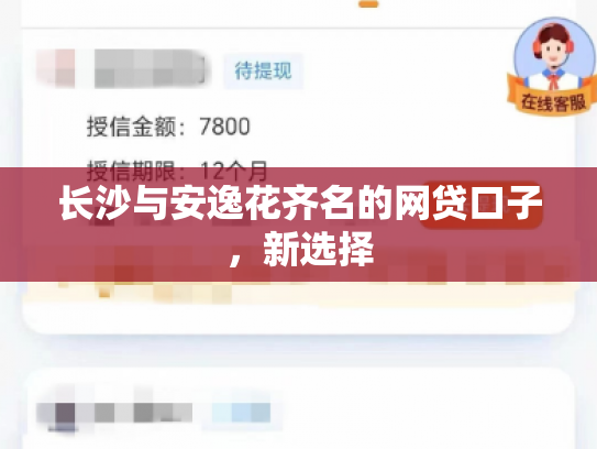 长沙与安逸花齐名的网贷口子，新选择
