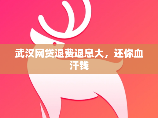 武汉网贷退费退息大，还你血汗钱