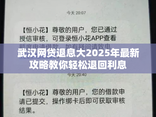 武汉网贷退息大2025年最新攻略教你轻松退回利息