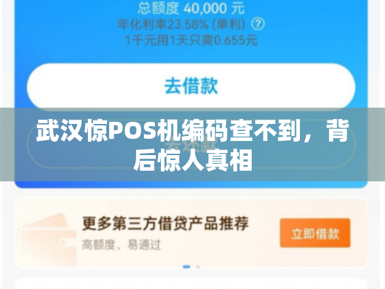 武汉惊POS机编码查不到，背后惊人真相