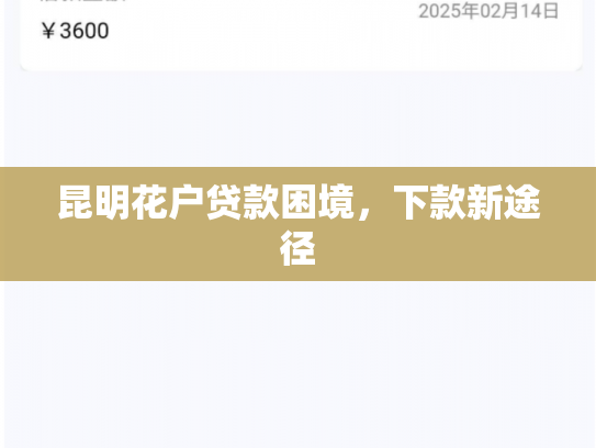 昆明花户贷款困境，下款新途径