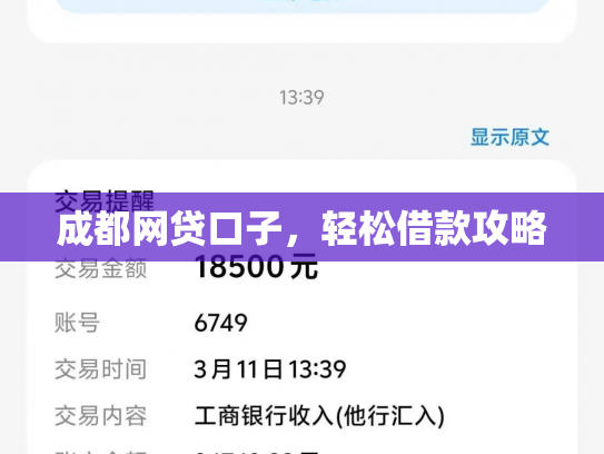成都网贷口子，轻松借款攻略