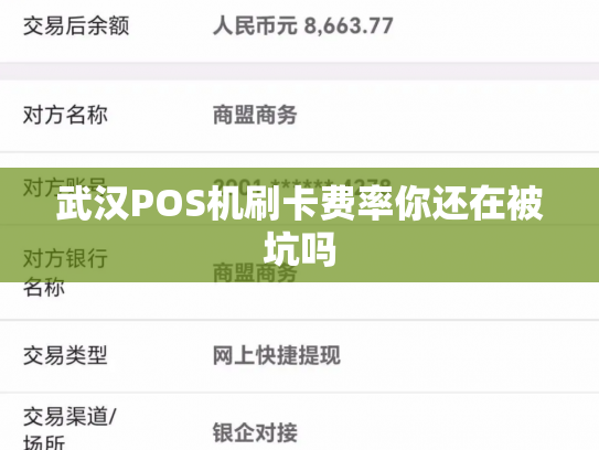 武汉POS机刷卡费率你还在被坑吗