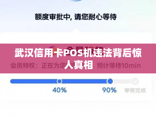 武汉信用卡POS机违法背后惊人真相