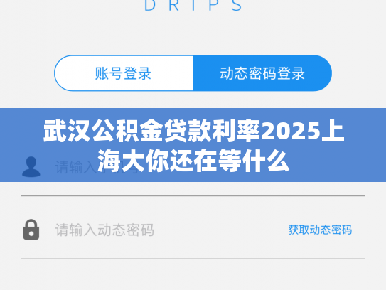 武汉公积金贷款利率2025上海大你还在等什么