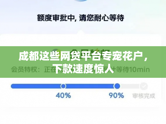 成都这些网贷平台专宠花户，下款速度惊人