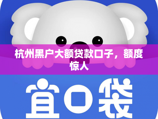 杭州黑户大额贷款口子，额度惊人