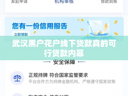 武汉黑户花户线下贷款真的可行贷款内幕