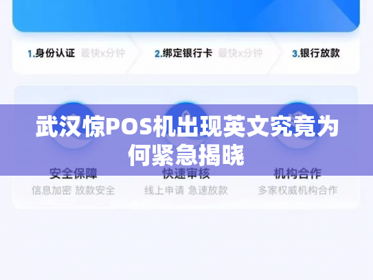 武汉惊POS机出现英文究竟为何紧急揭晓