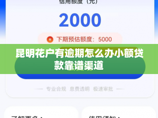 昆明花户有逾期怎么办小额贷款靠谱渠道