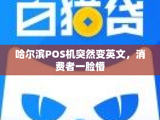 哈尔滨POS机突然变英文，消费者一脸懵