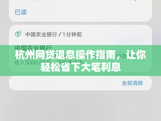 杭州网贷退息操作指南，让你轻松省下大笔利息