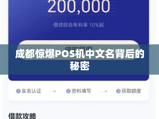 成都惊爆POS机中文名背后的秘密