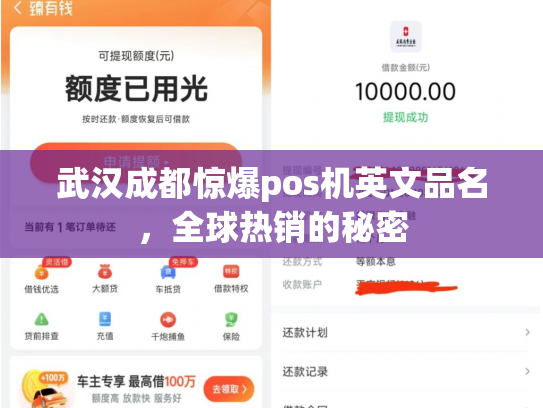 武汉成都惊爆pos机英文品名，全球热销的秘密