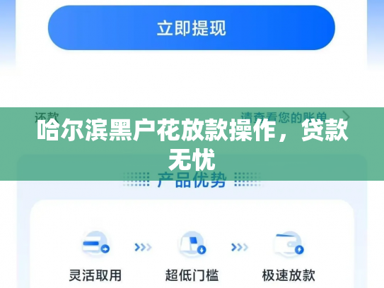 哈尔滨黑户花放款操作，贷款无忧