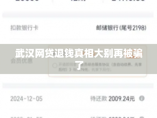 武汉网贷退钱真相大别再被骗了