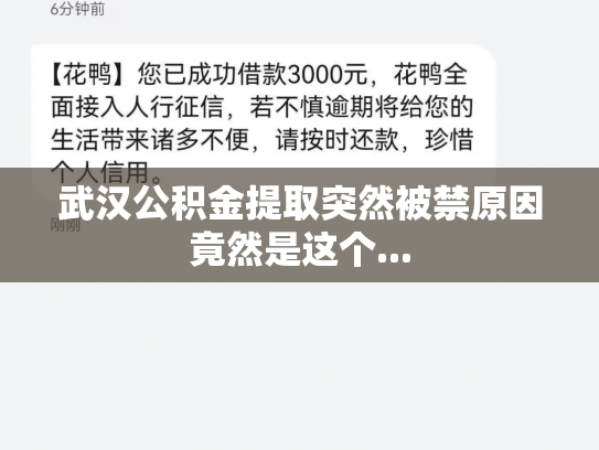 详细阅读:武汉公积金提取突然被禁原因竟然是这个... 武汉公积金提取突然被禁原因竟然是这个...