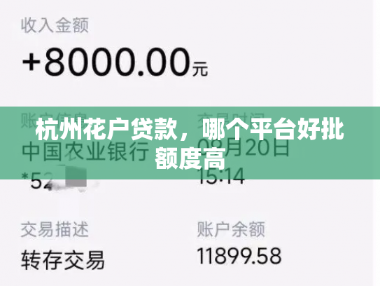 杭州花户贷款，哪个平台好批额度高