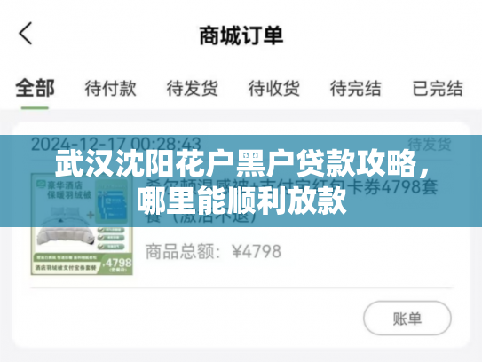 详细阅读:武汉沈阳花户黑户贷款攻略,哪里能顺利放款 武汉沈阳花户黑户贷款攻略,哪里能顺利放款