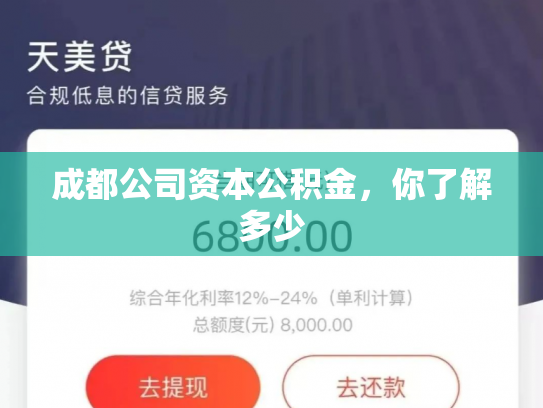 成都公司资本公积金，你了解多少