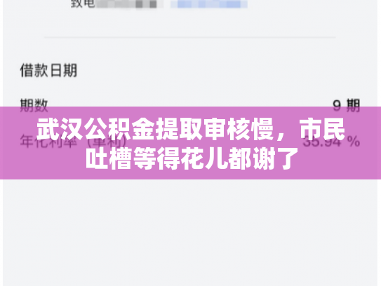 武汉公积金提取审核慢，市民吐槽等得花儿都谢了