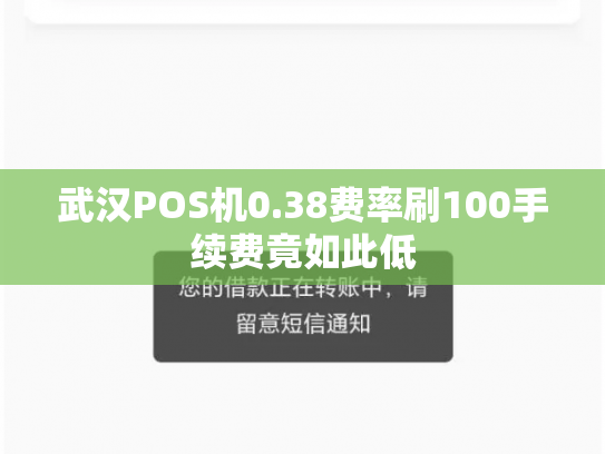武汉POS机0.38费率刷100手续费竟如此低