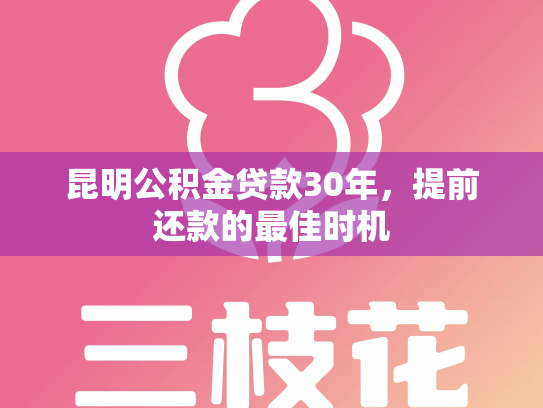昆明公积金贷款30年，提前还款的最佳时机